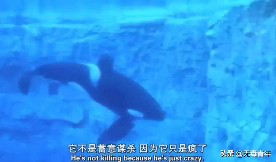 被囚34年取精，被迫亲手杀死爱子，最后只能挣扎着死去…