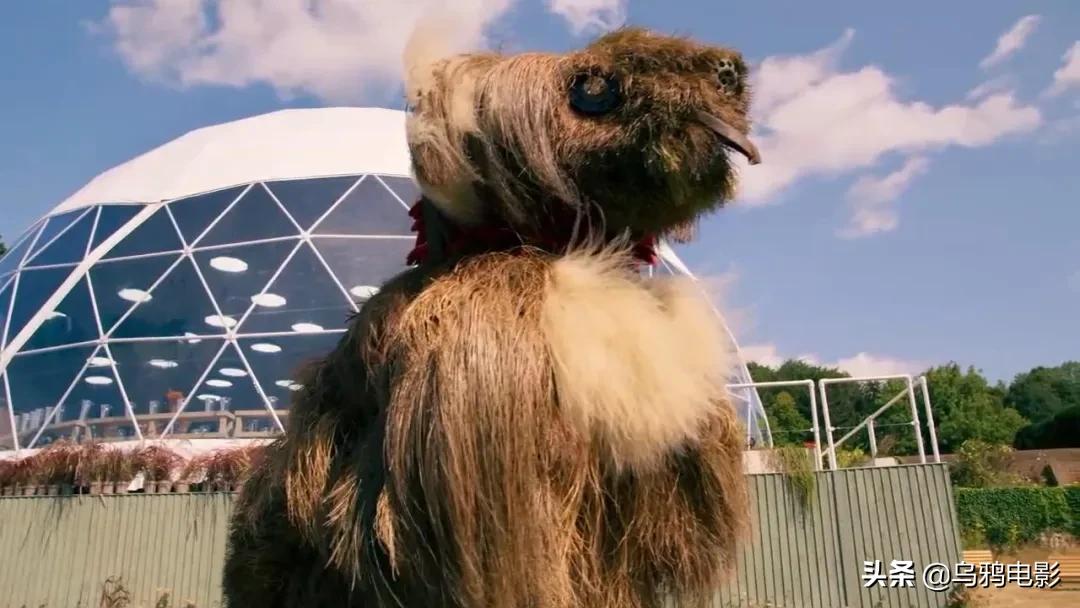 这也能拍出花?网飞又开挂了,每集都让我惊掉下巴