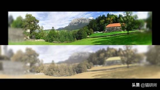 猫咪照镜子看自己,猫咪照镜子是什么样子图片