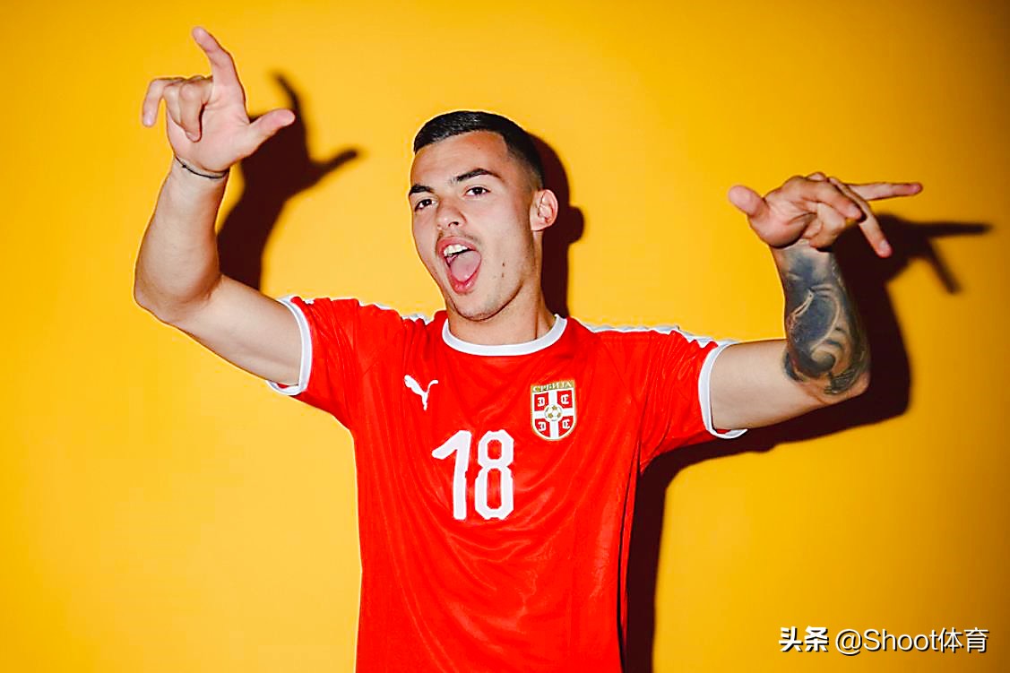 世预赛塞尔维亚1-2不敌乌克兰,爱尔兰对塞尔维亚世预赛比分预测