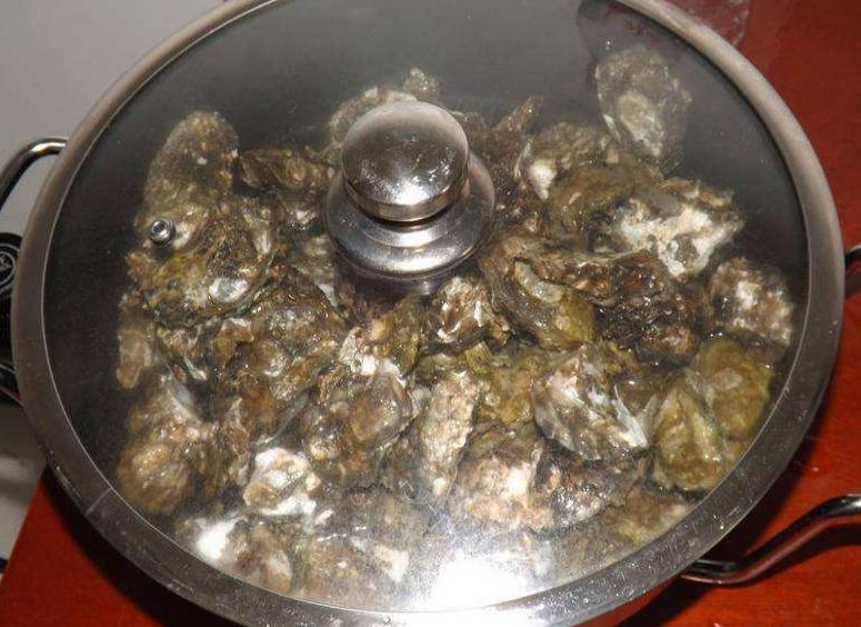 水煮生蚝开水下锅还是凉水下锅煮,开生蚝的家常做法水煮几分钟