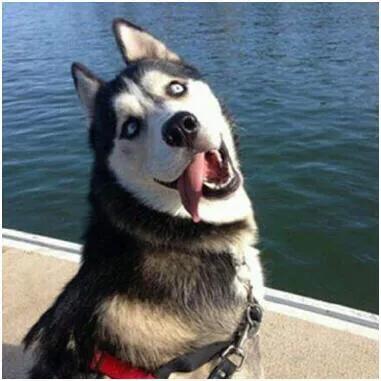 淘宝内部优惠劵怎么挣钱,怎么做淘宝优惠券赚钱