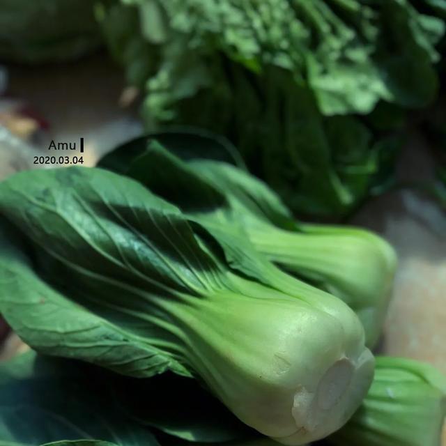 灏忓煄鏁呬簨鍒嗛攢,灏忓煄鏁呬簨榛勫幙