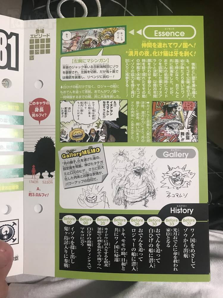 「独家」海贼王生命卡翻译！信息量爆炸的传说男人和赤鞘9人资料