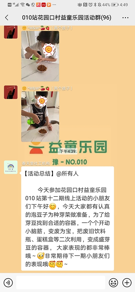 一米长水培豌豆苗,鲜活豌豆苗水培