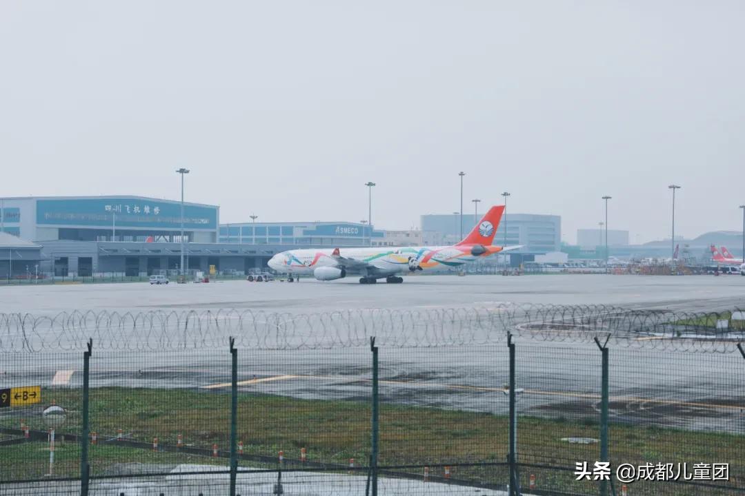 双流空港体育公园看飞机攻略,周末去空港花田