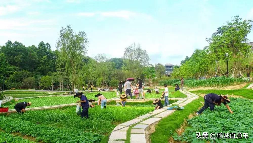 灏忎附姹熼鏅尯,娣卞湷鐗堝皬涓芥睙鍙ら晣鎵撳崱