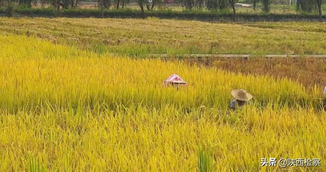 每日新闻早知道（20210712）