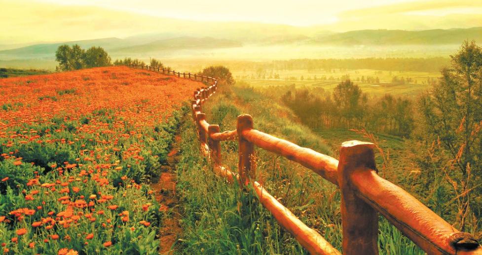 李阳民,李阳民撰七律