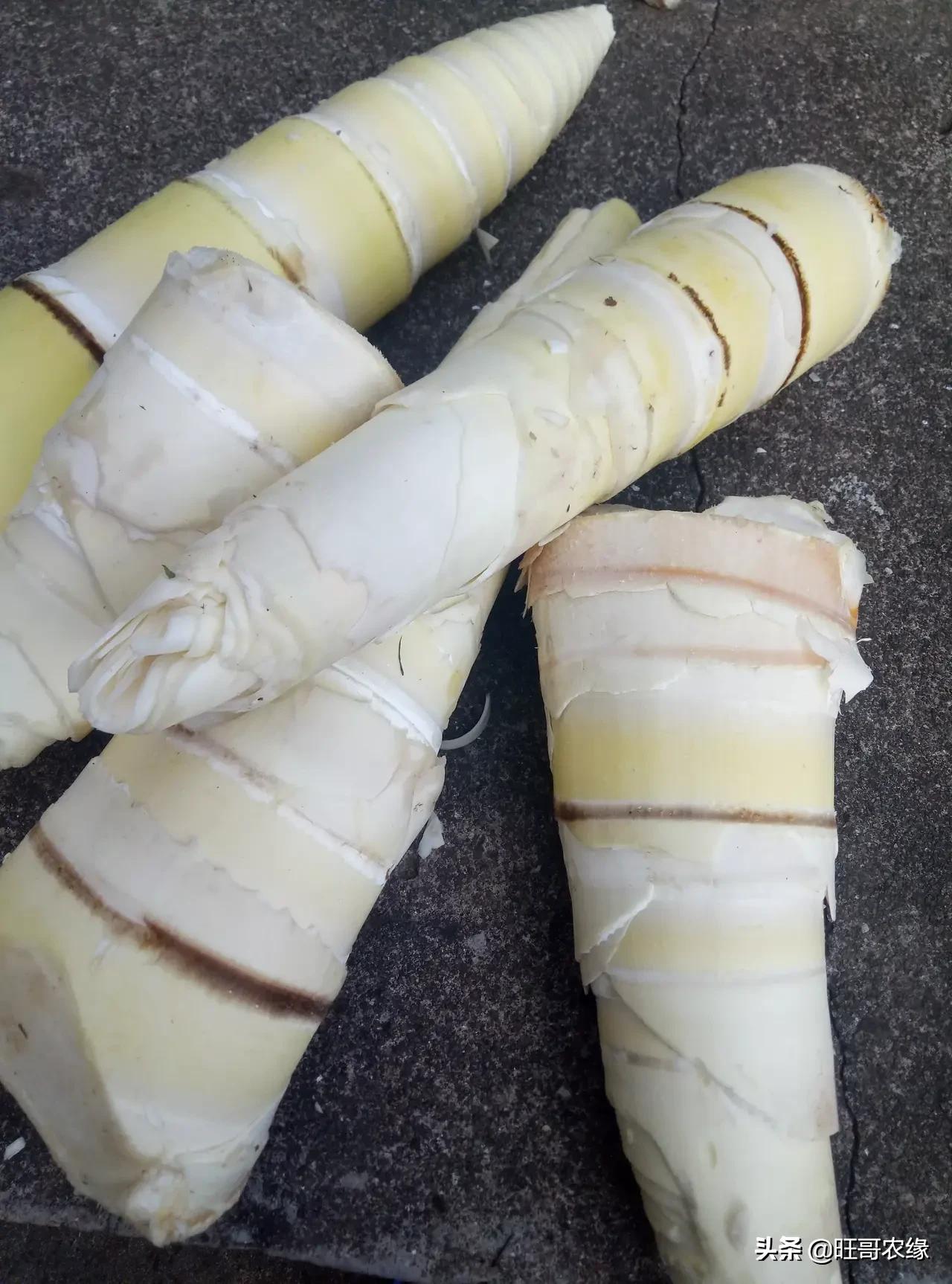 怎样制作竹笋干农村里自家不会坏,烤竹笋干的烤箱制作