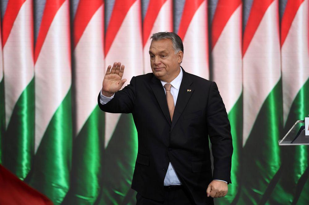 5万人观战创纪录，匈牙利火爆球市惹邻国羡慕，中国疫苗功不可没