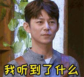 淘宝开了推广反而没有流量了,网店没流量没销量不知道怎么做