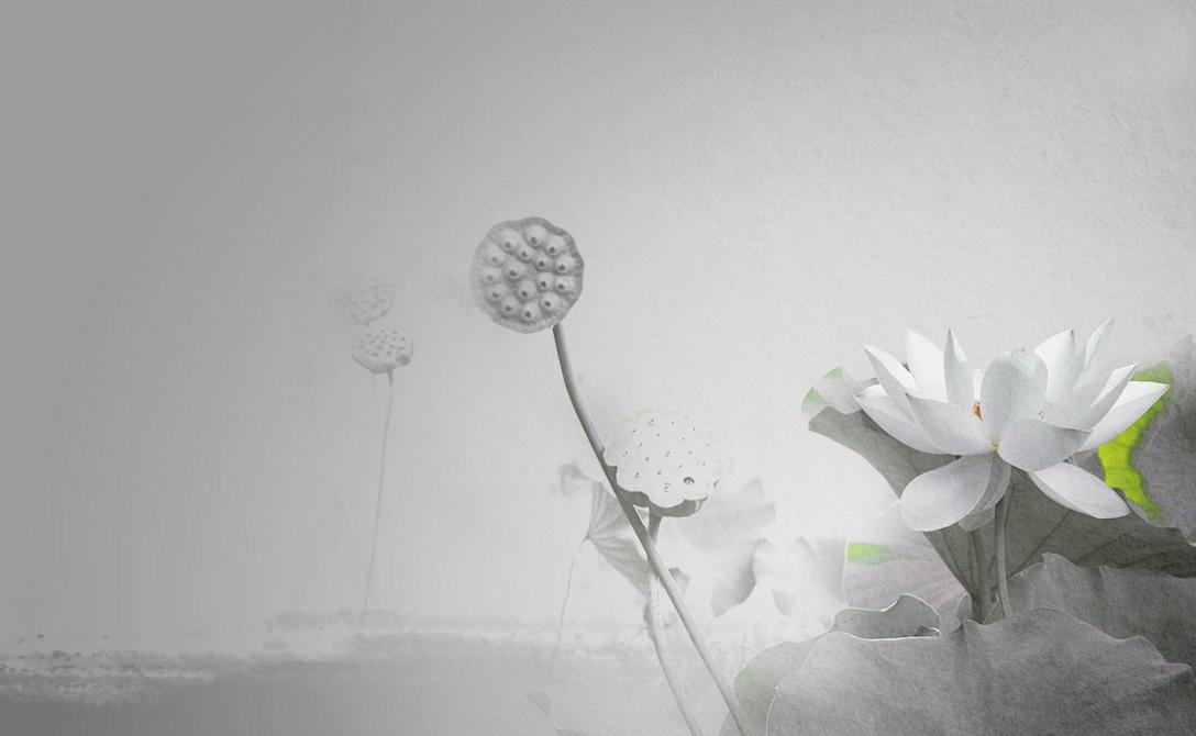 小学语文改写句子的技巧,小学语文句子改写的方法与技巧