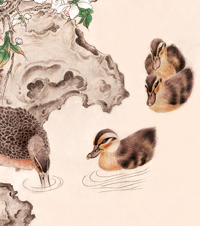 水仙花国画花鸟画图片欣赏,中国画花鸟画背景图片大全