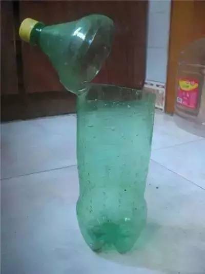 栀子花水插方法介绍,栀子花水插一个月不长根