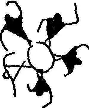 远古夏商时期的音乐交流,远古夏商时期音乐试题