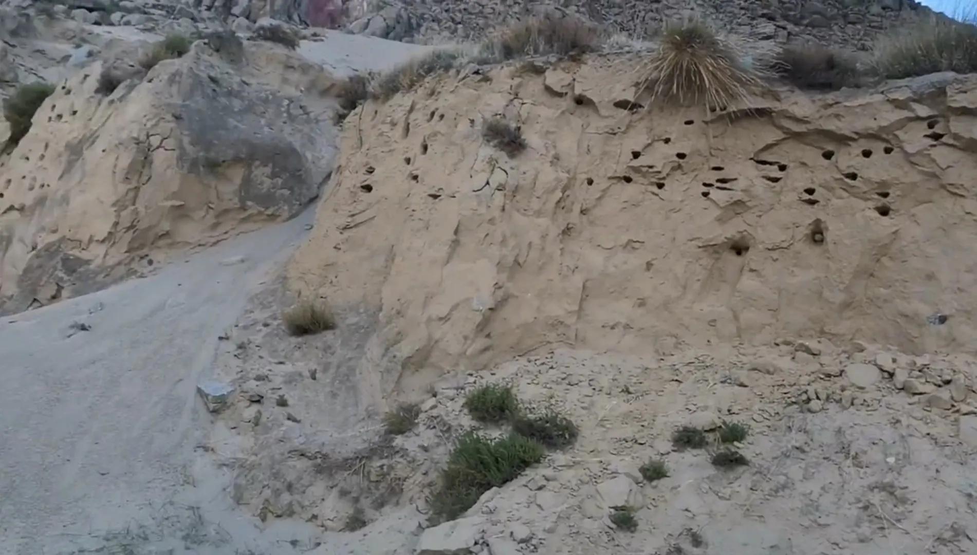 户外迷路怎么办安全教案,沙漠迷路自救方法