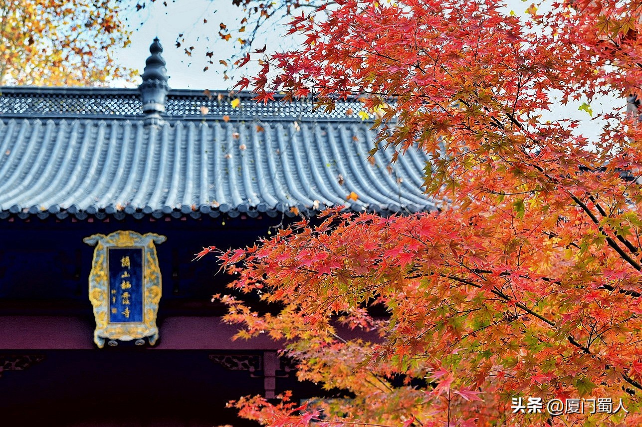 南京四大赏枫地 (南京赏枫胜地)