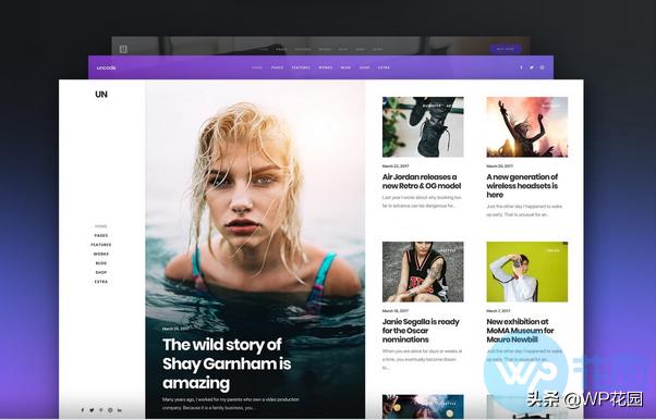 国外正版WordPress模板好不好？21条优点缺点分析，不花冤枉钱！