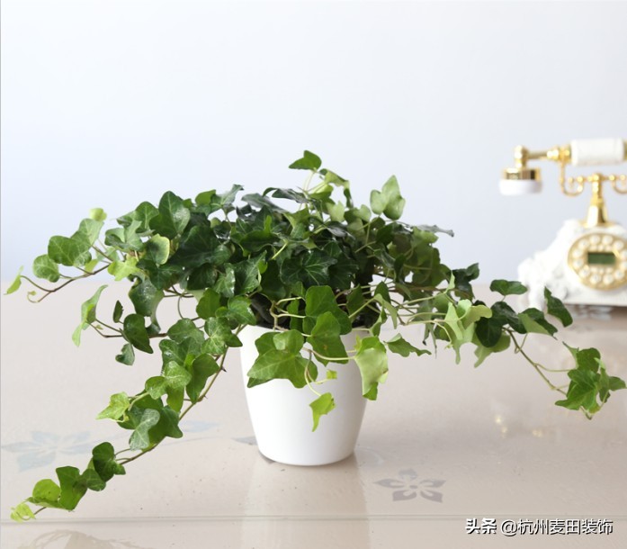 怎样去除室内甲醛和苯,开窗透风去除室内甲醛