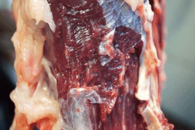 潮汕纯手打纯牛肉丸第一名,潮汕牛肉丸一年发15万条抖音