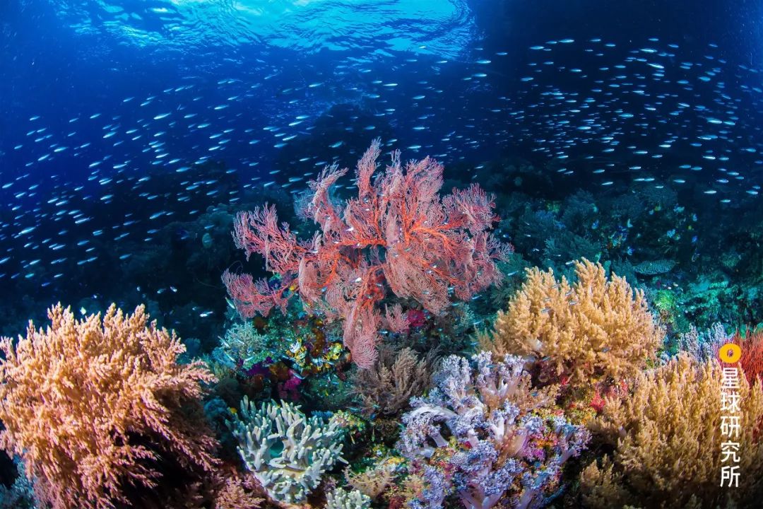 菲律宾的主岛,菲律宾岛屿旅游