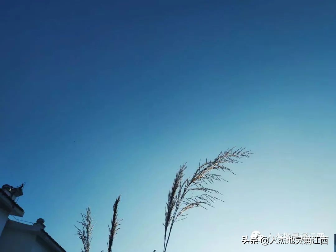 兴国南坑双坑村,兴国县南坑乡