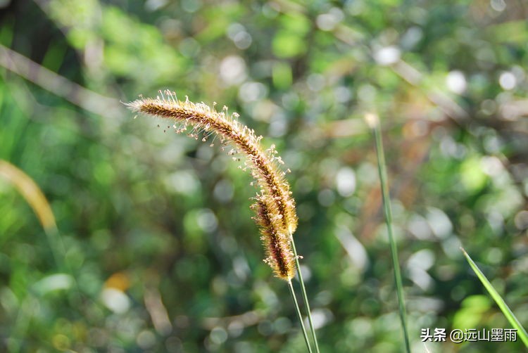 昆明嘉丽泽小镇旅游,昆明嘉丽泽水乡