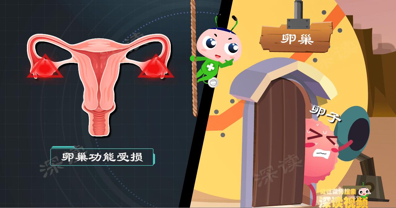 下腹坠胀白带多腰困是要来月经吗,下腹胀痛白带多带血