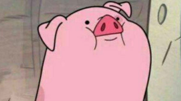 被啥是佩奇刷屏了,什么是佩奇最暖心短视频