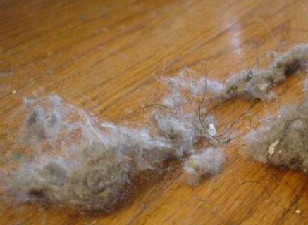 春季过敏脸上出小疙瘩,春季过敏的最佳解决方法