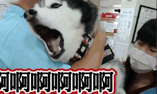 胳膊上的小圆疤是什么,每个人胳膊上的疤是怎么长出来的