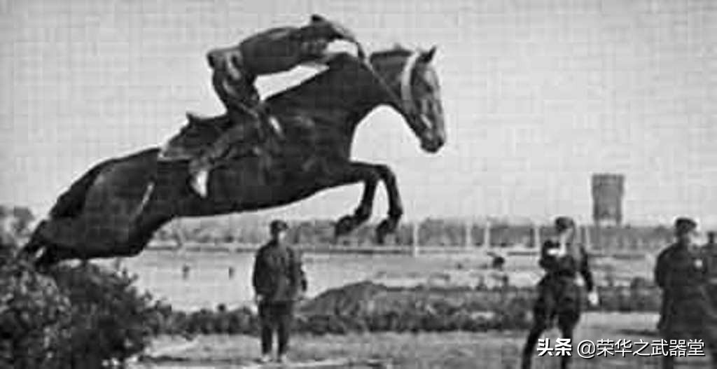 快速集群的骑兵部队如何运用，苏军统帅部从这次作战有了答案