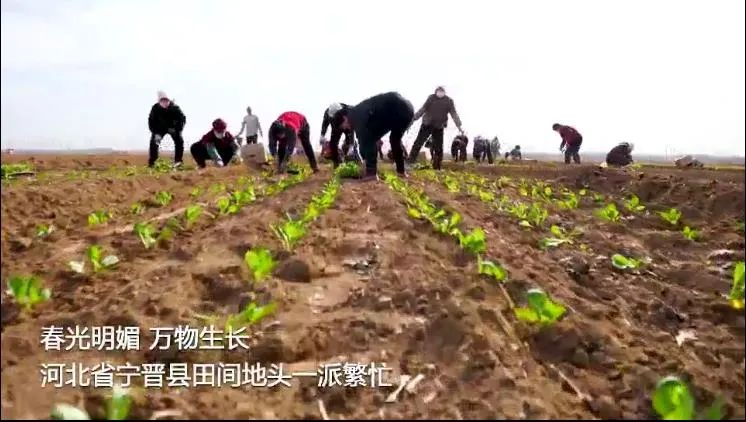 我为群众办实事怎样加强舆论宣传,我为群众办实事新媒体