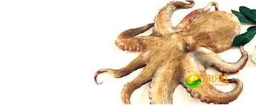 舟山海鲜代加工攻略,最全舟山海鲜攻略