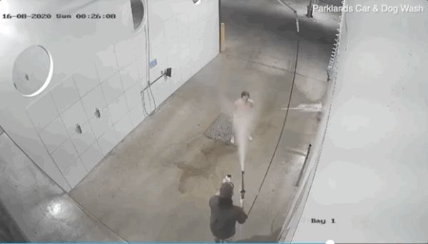 澳男子半夜全裸溜进洗车房洗自己？老板傻了：那玩意洗人会出事啊