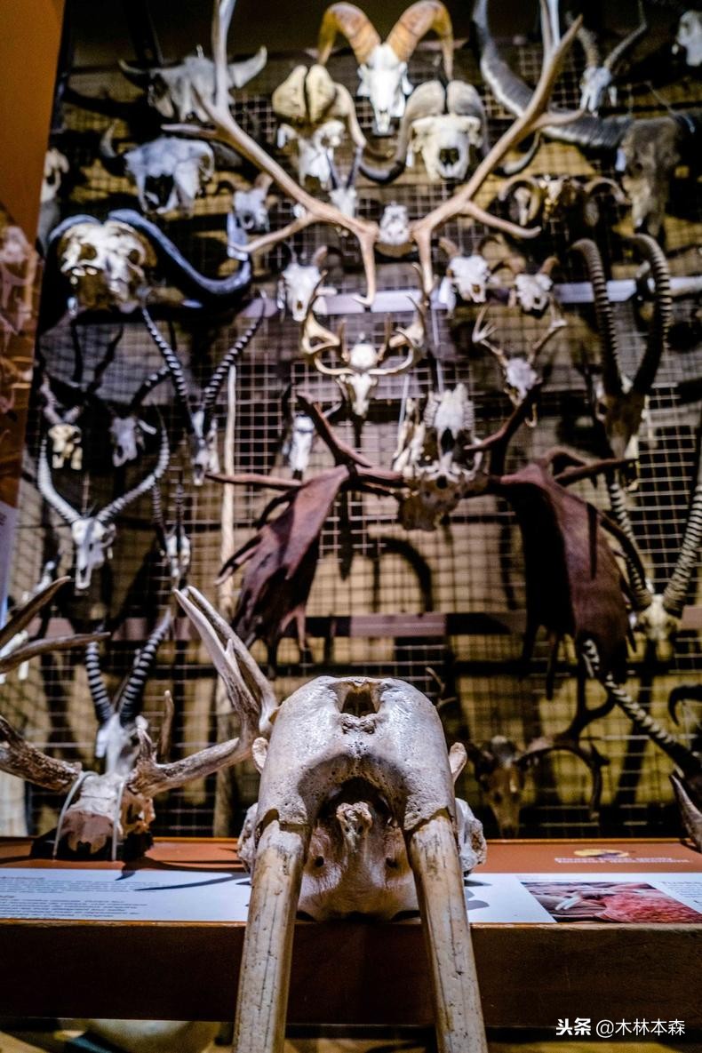 加拿大多伦多生活日记,加拿大多伦多留学生活纪实