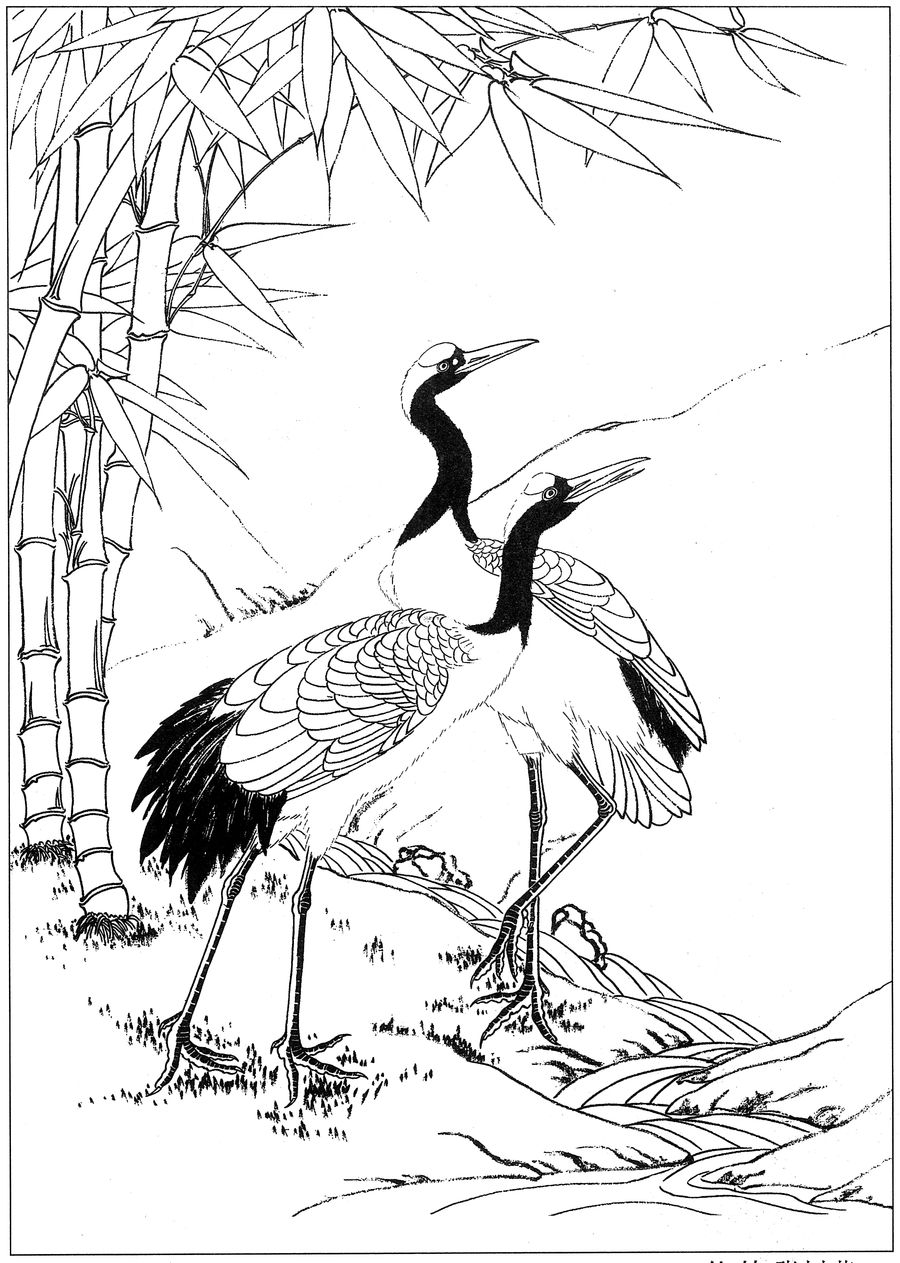 仙鹤桃子工笔白描稿,工笔画仙鹤高清图上色步骤图