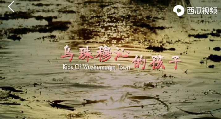 乌珠穆沁的孩子电影在线观看,乌珠穆沁的孩子怎么样