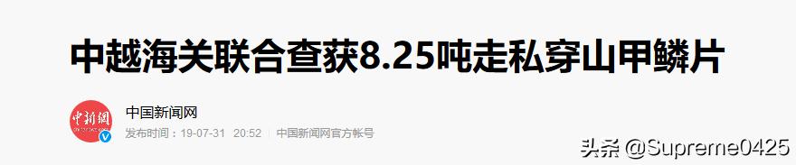 吃野生穿山甲的后果,吃了穿山甲会有什么法律后果