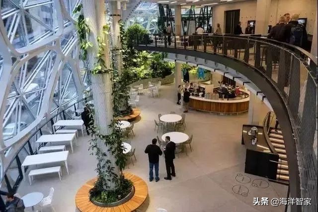 google上海有限公司,google美国总部办公室