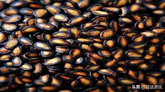 兰州特产适合带回家的,兰州的特产过年适合送人的