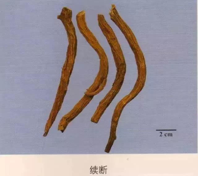 中药材图片大全大图带药名,200多味中药材图谱带图