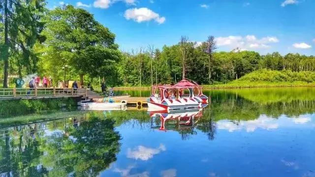 消夏季|我劝你哪凉快哪待着去！