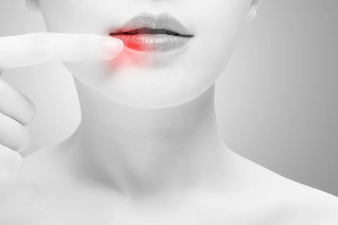 吉林省根网科技服务专家团,吉林根网