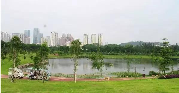 福田花卉世界最新规划,福田花卉世界新址