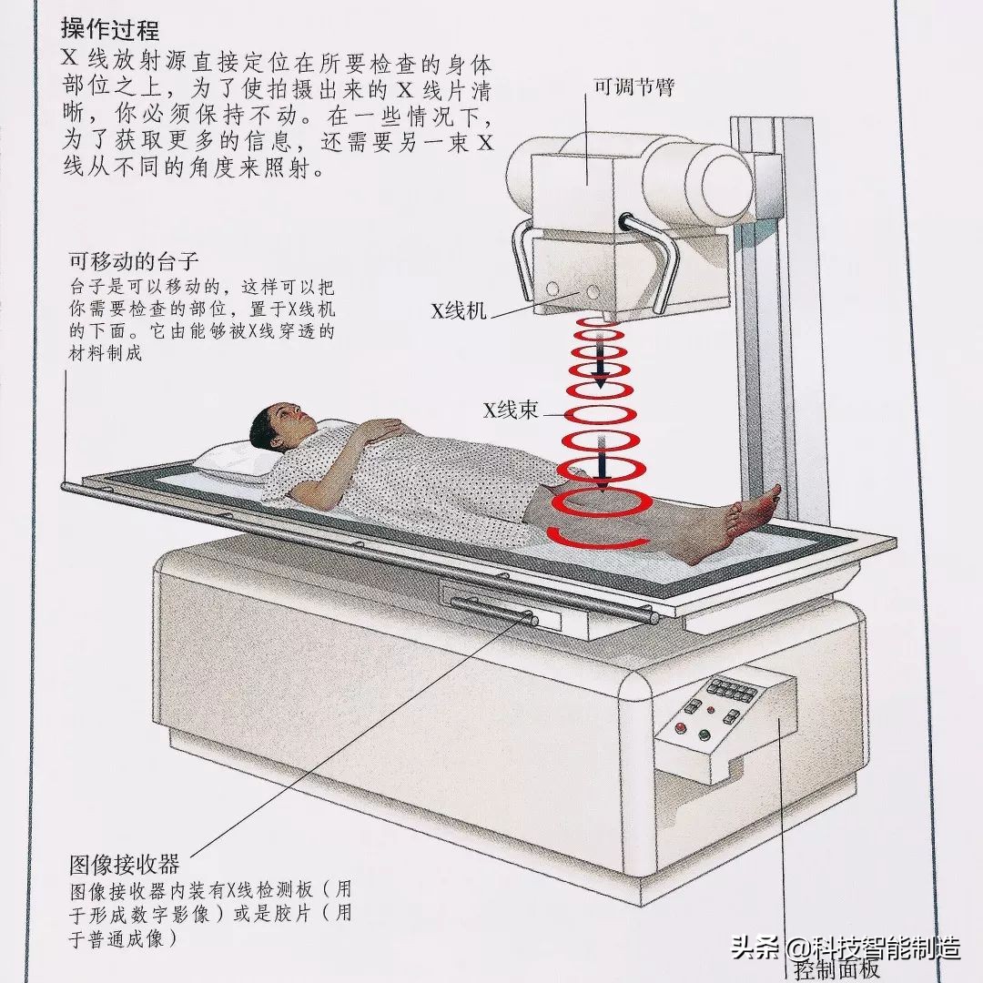 给家人宣讲健康知识记录,给父母科普健康知识小品