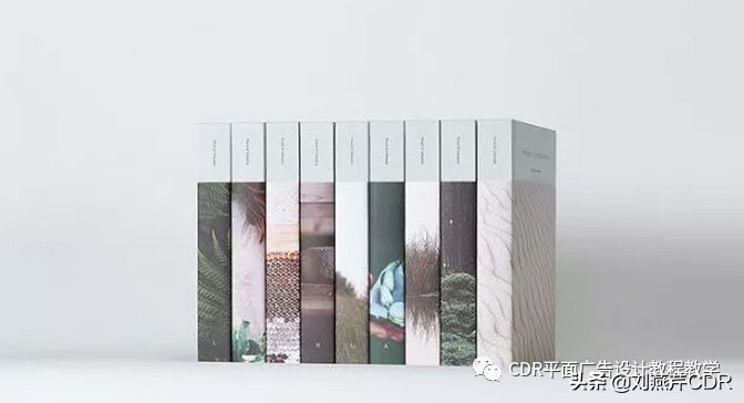 干货logo设计的5个规则,印刷设计尺寸对比图