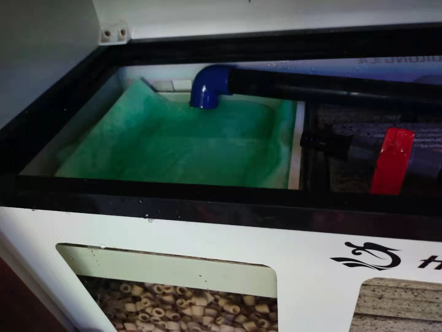 底滤鱼缸第一层用魔毯好吗,清洗魔袋