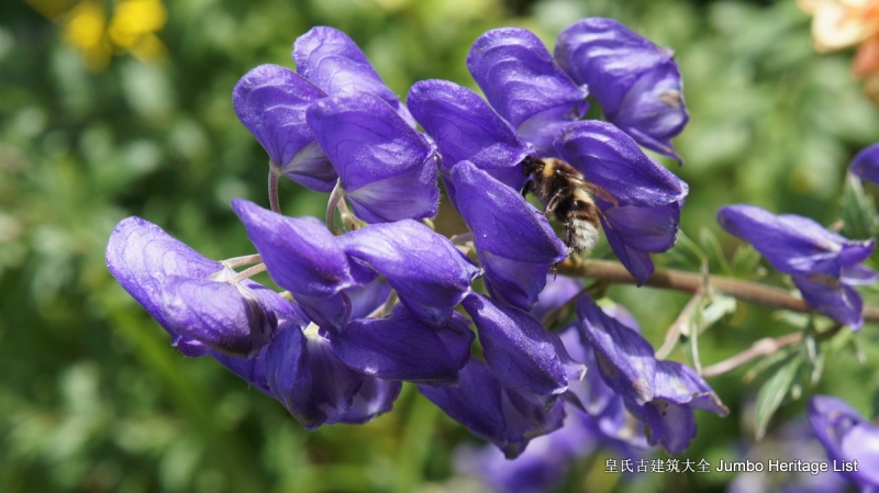 第29回：名校毕业风光不再，穹顶之下天空湛蓝